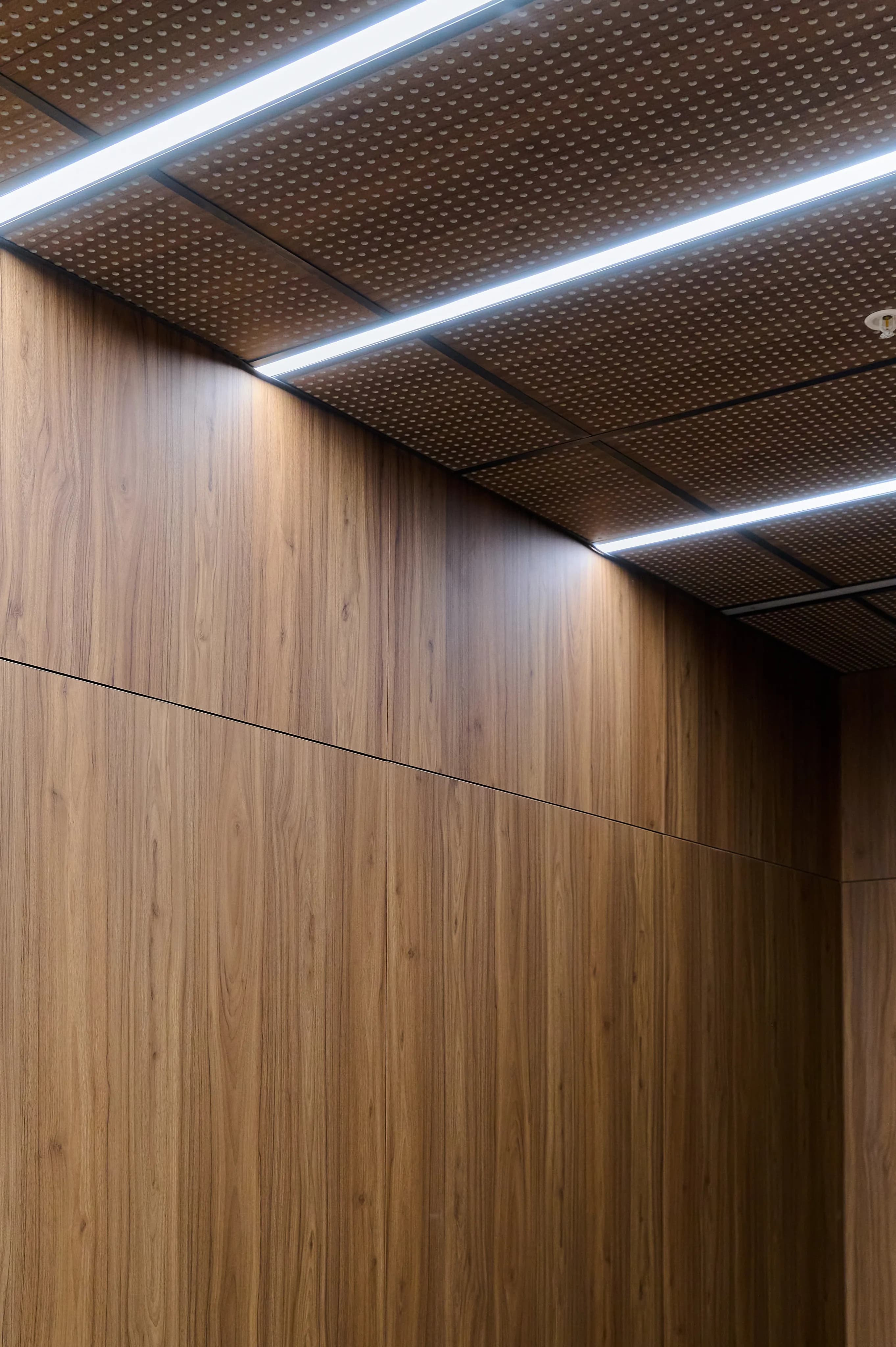 УФ-печать: панели с характером и детализацией